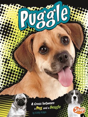 cover image of Puggle